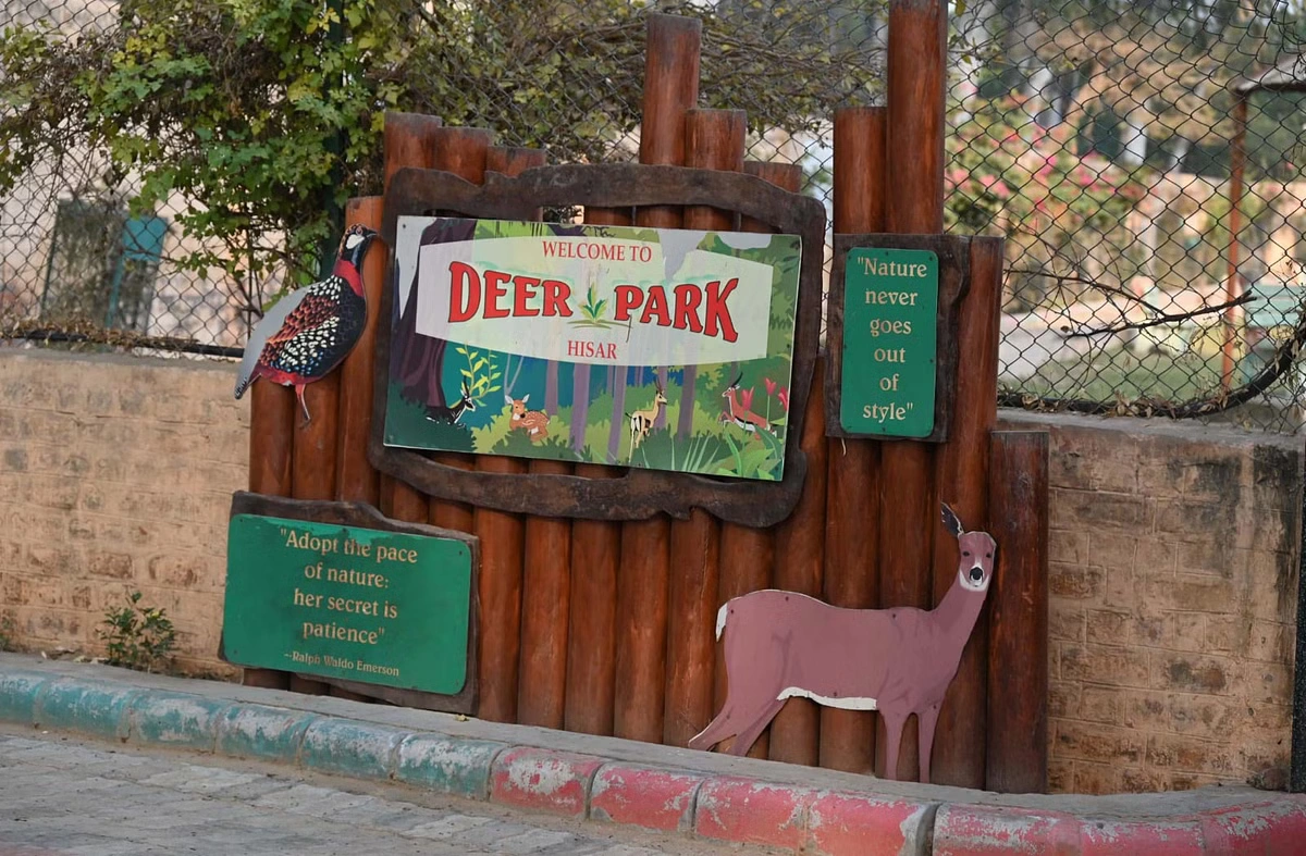 Deer Park